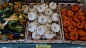 Rolling Green Farm Market - Orange and White Pumpkins