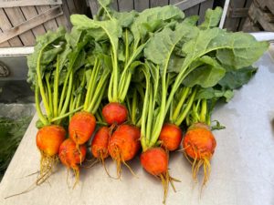 Rockville Farmers' Market - Carrots